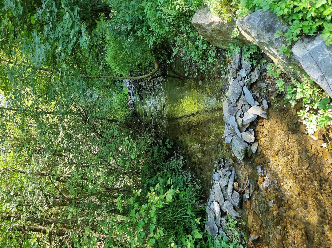 Hoscheid Klangwanderweg-Hoscheid必去景点