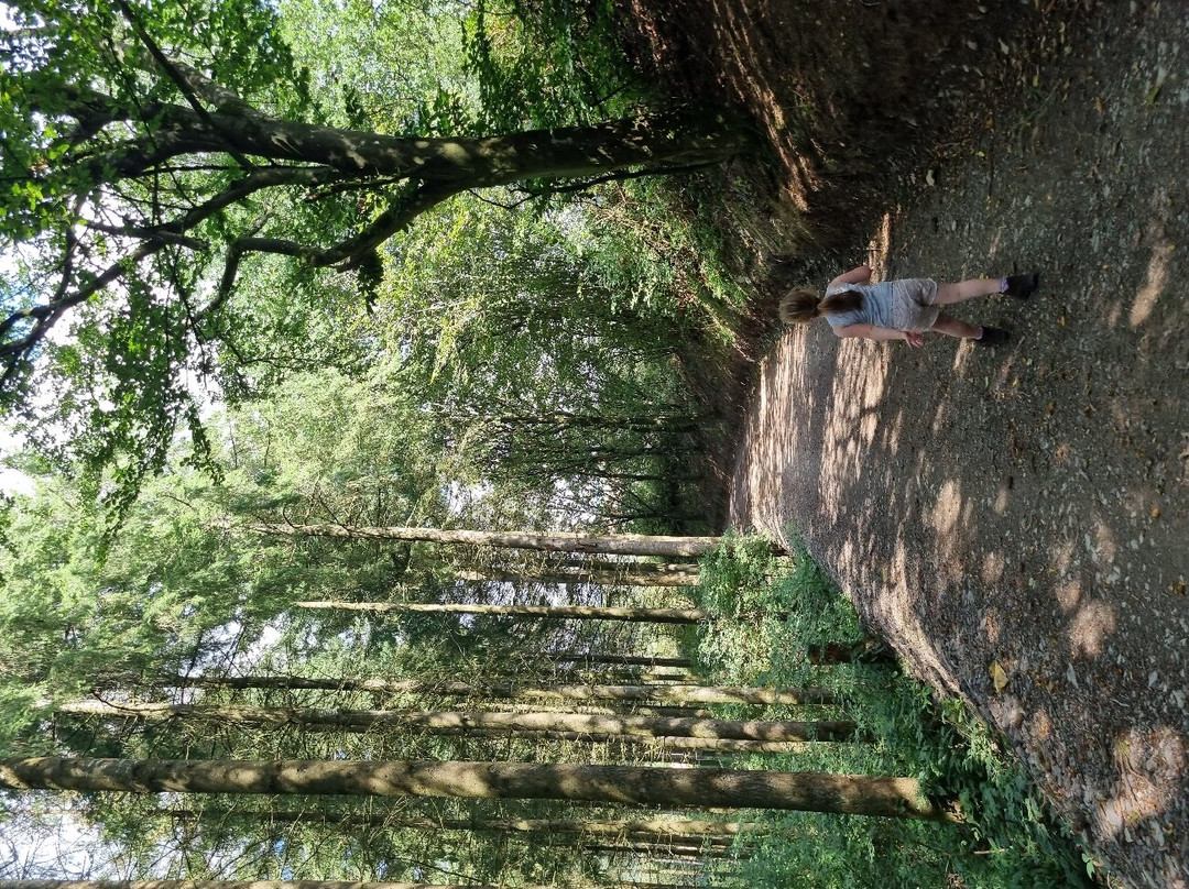 Hoscheid Klangwanderweg-Hoscheid必去景点