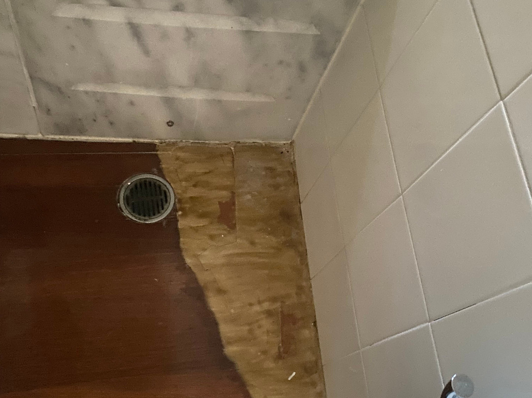 洛瑞特酒店主图