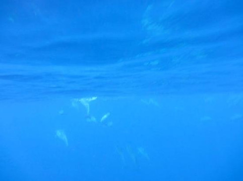 水上日光-凯鲁瓦-柯纳必去景点