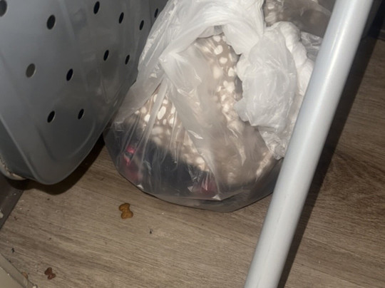 Dequincy酒店住宿-Days Inn by Wyndham Sulphur West