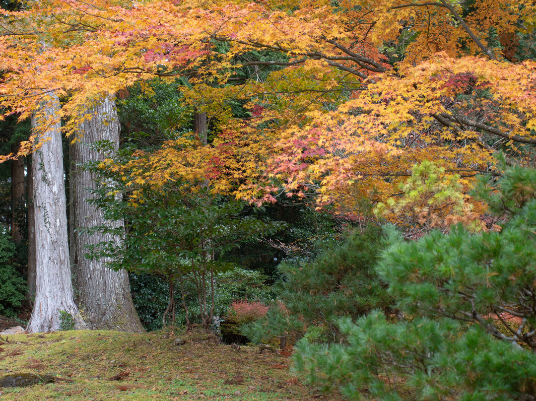 Kurotakiji Temple-那贺町必去景点