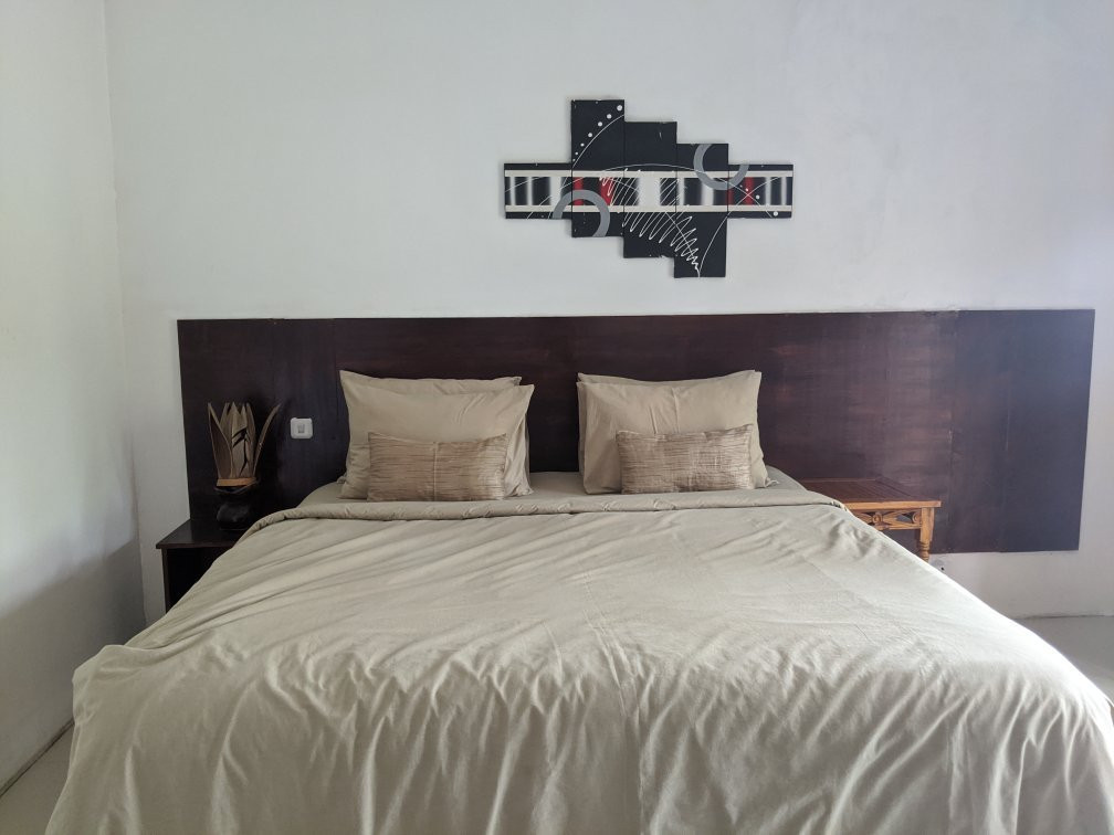 Rudy Trekker Guest House主图