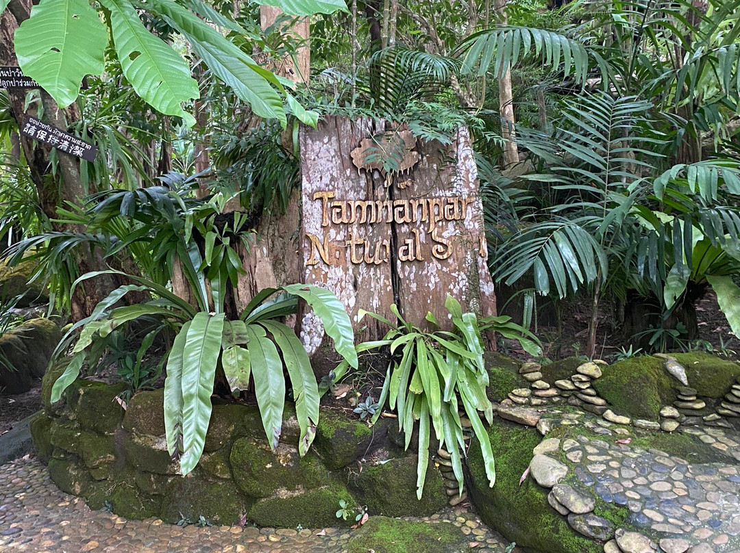 塔姆纳帕度假酒店主图