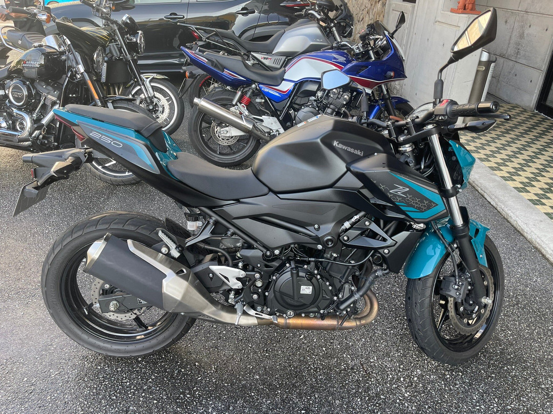 Rental 819, Naha Airport景点图片