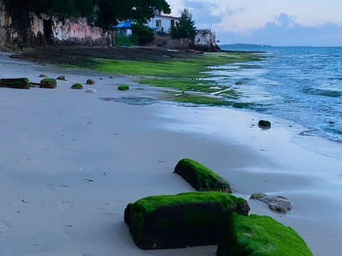 LD Tours & Safaris-桑给巴尔市必去景点