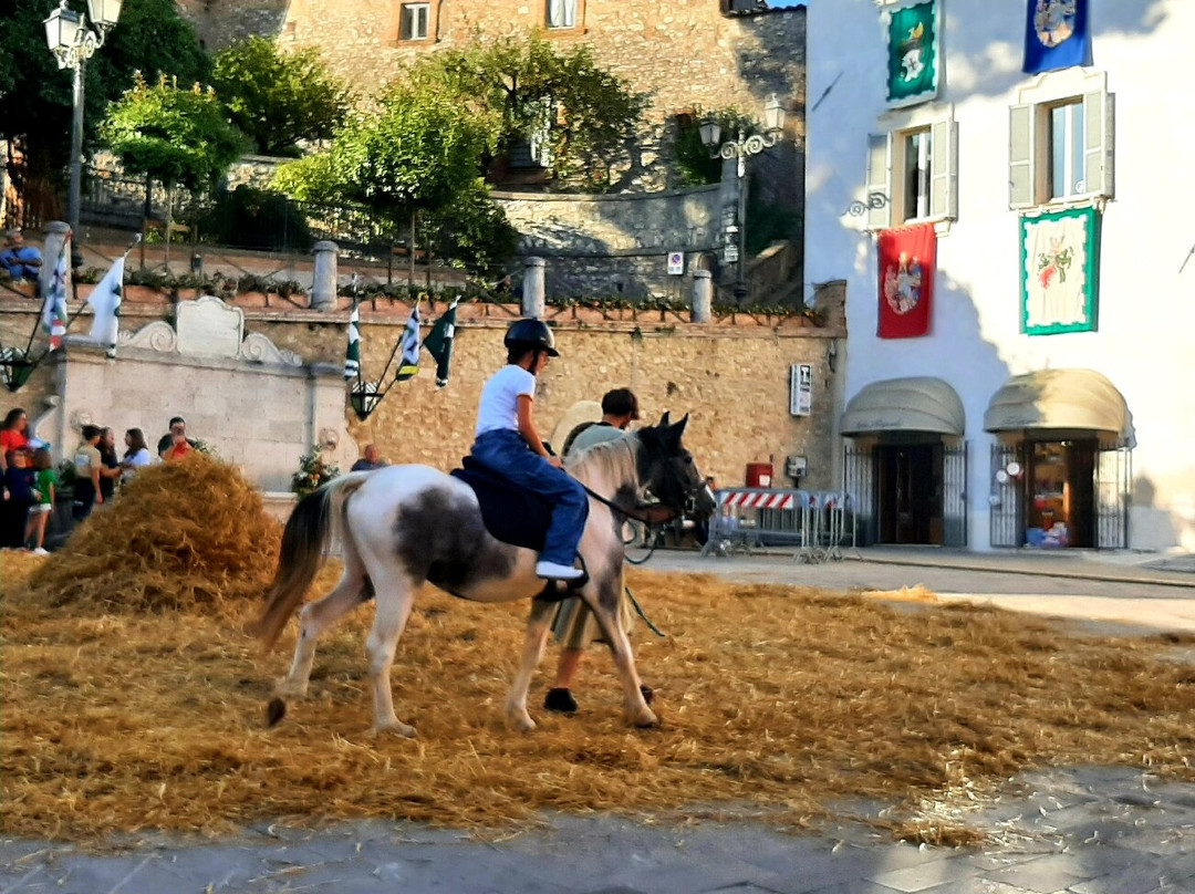 Piazza San Francesco景点图片