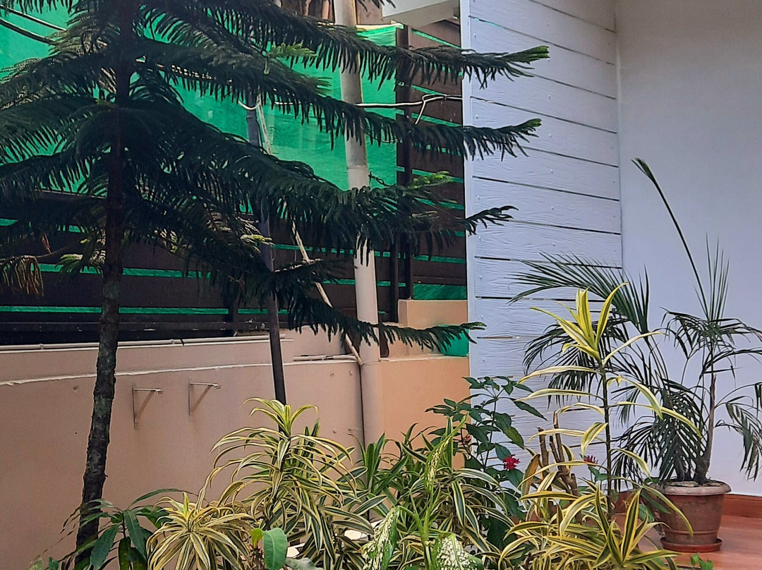 Kevins Bed & Breakfast主图