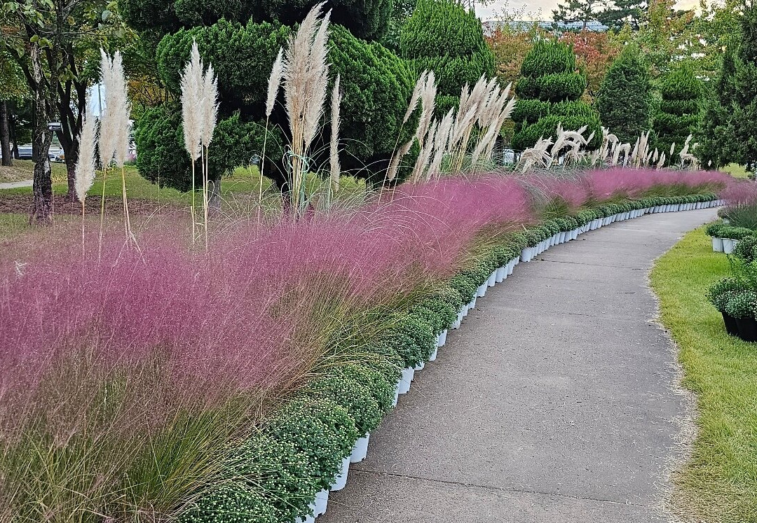 Yurim Park-大田必去景点