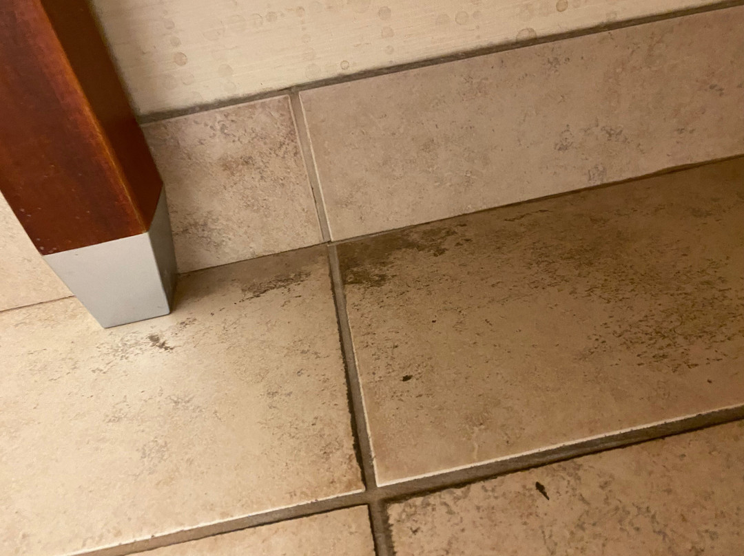 Hampton Inn & Suites Buffalo主图