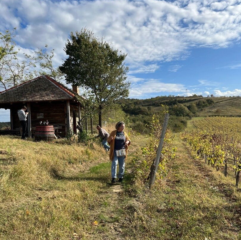 Vinarium-Banostor必去景点