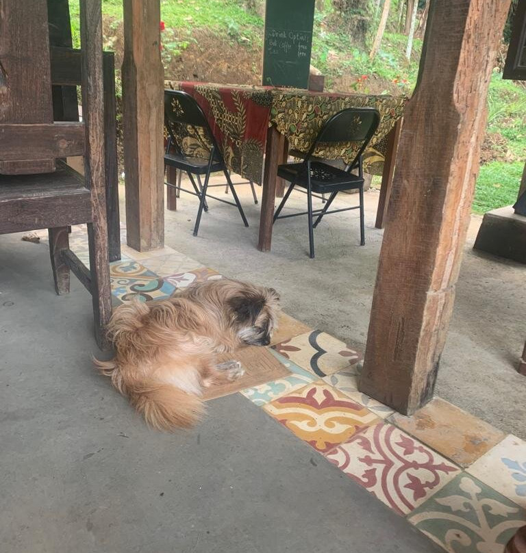 Tepi Sawah Lodge & retreat主图