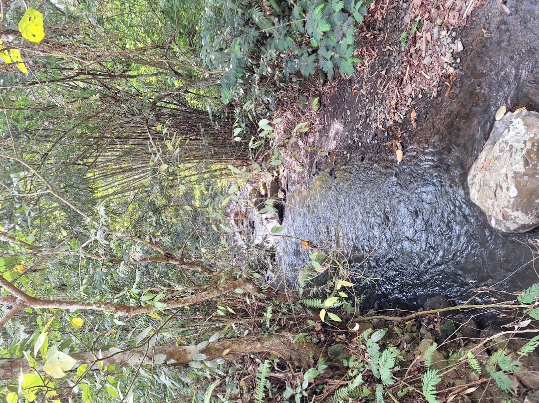 LADINAtour-登巴萨必去景点