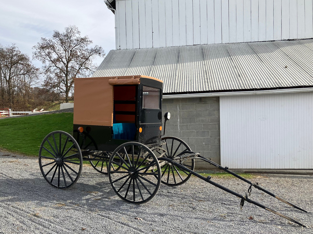Simple Life Tours - Amish Tours-New Wilmington必去景点