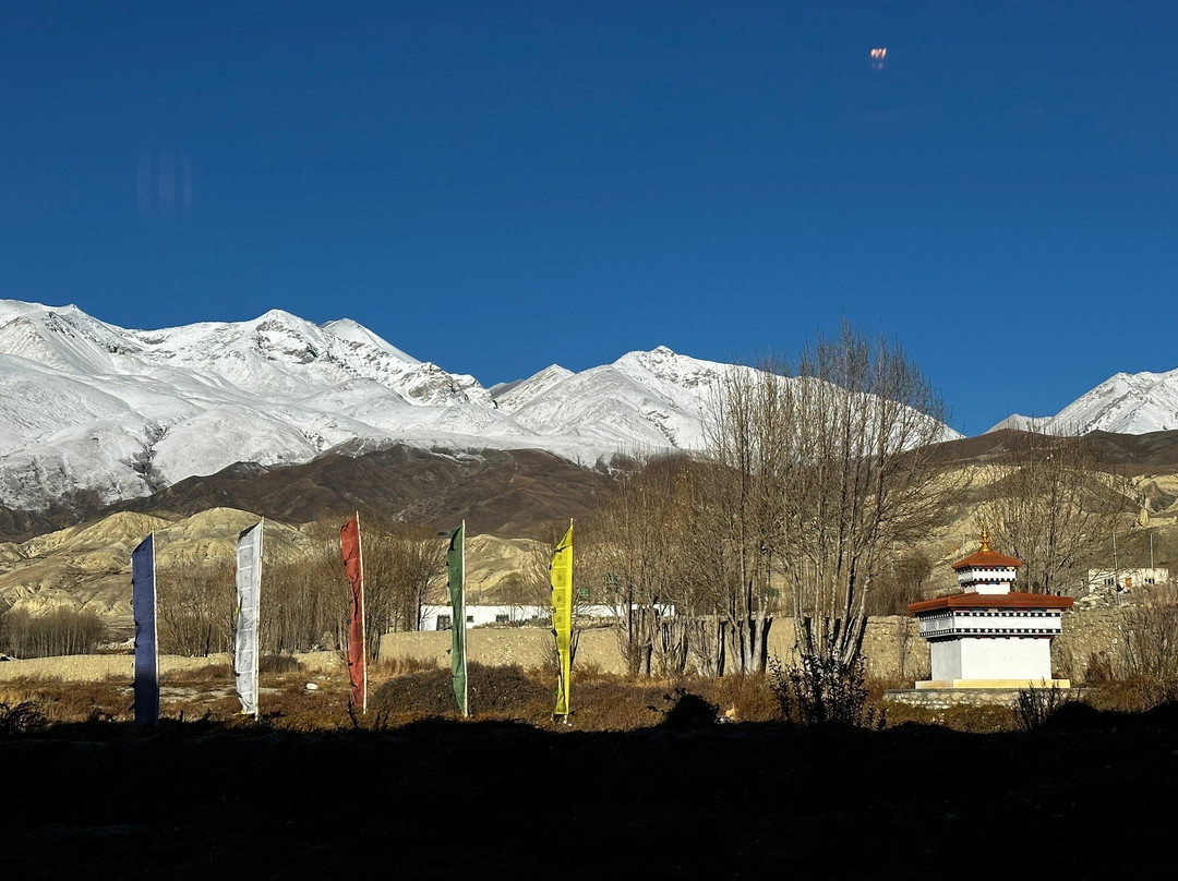 Royal Mustang Resort主图