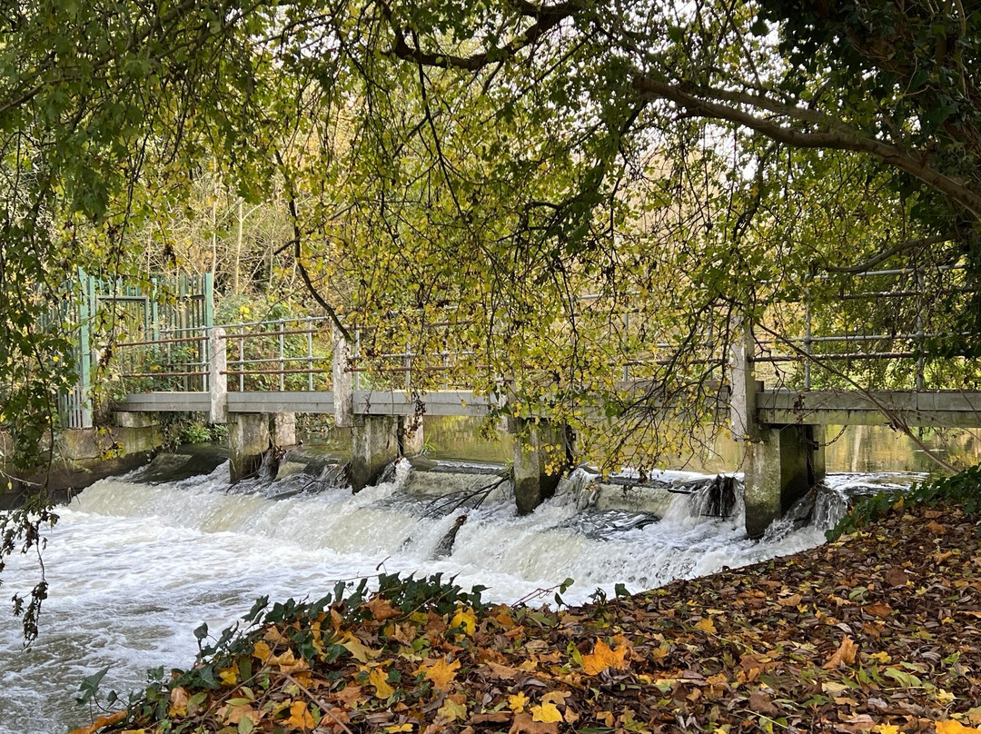 Rickmansworth Aquadrome景点图片