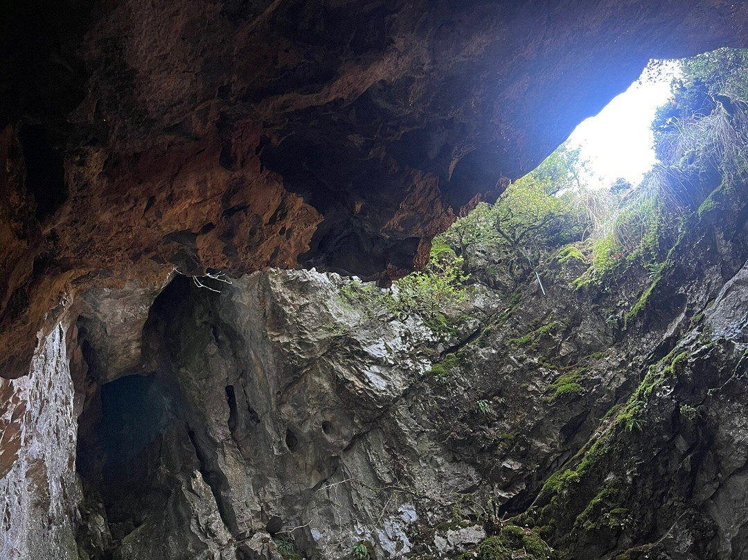 Cueva de las Güixas景点图片
