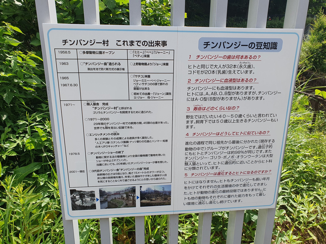 Tama Zoological Park-日野市必去景点