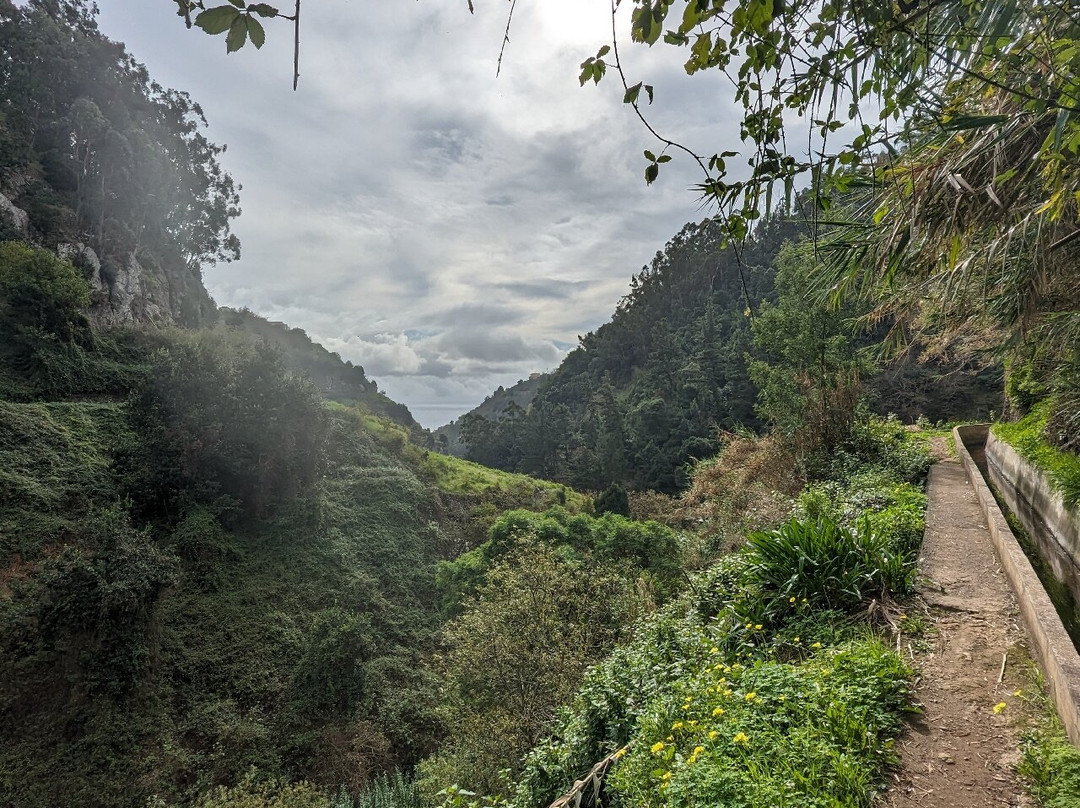 Levada Norte-Camara De Lobos必去景点