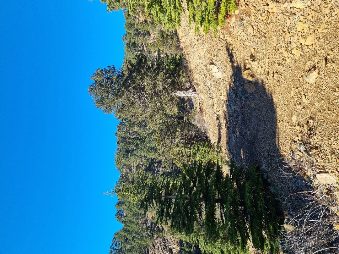 Atalante Nature Trail-特罗多斯必去景点