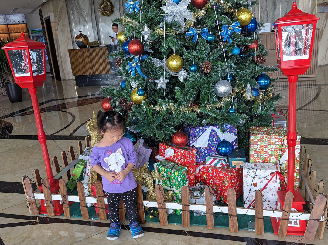 Alan Sea Hotel Danang主图