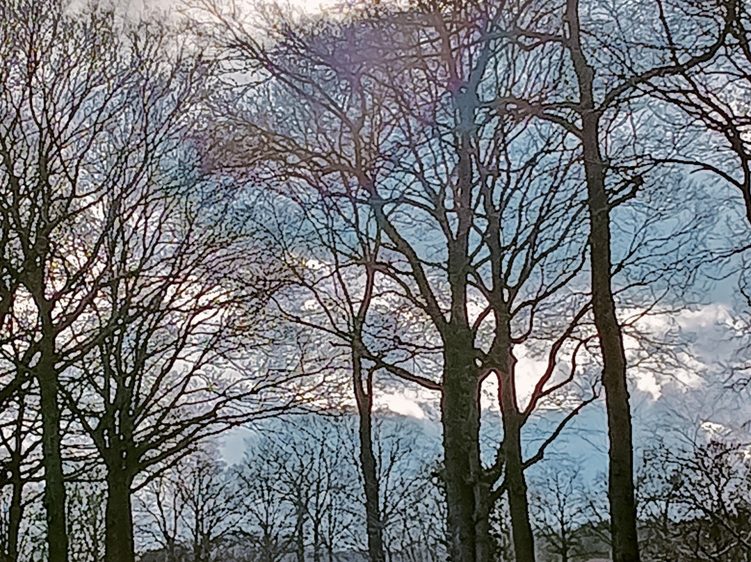 Camperpark 't Dommerholt