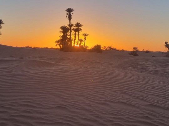 Osez Le Desert Maroc-迈哈米德必去景点
