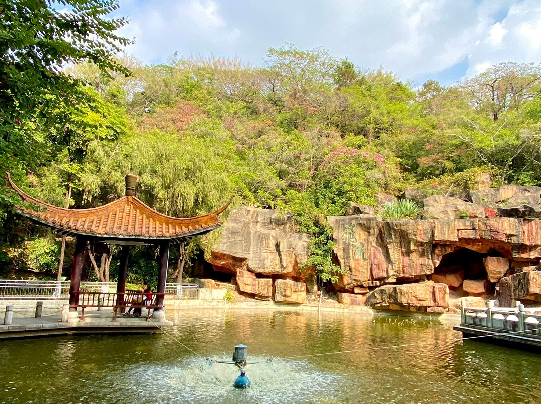 长安公园-东莞市必去景点