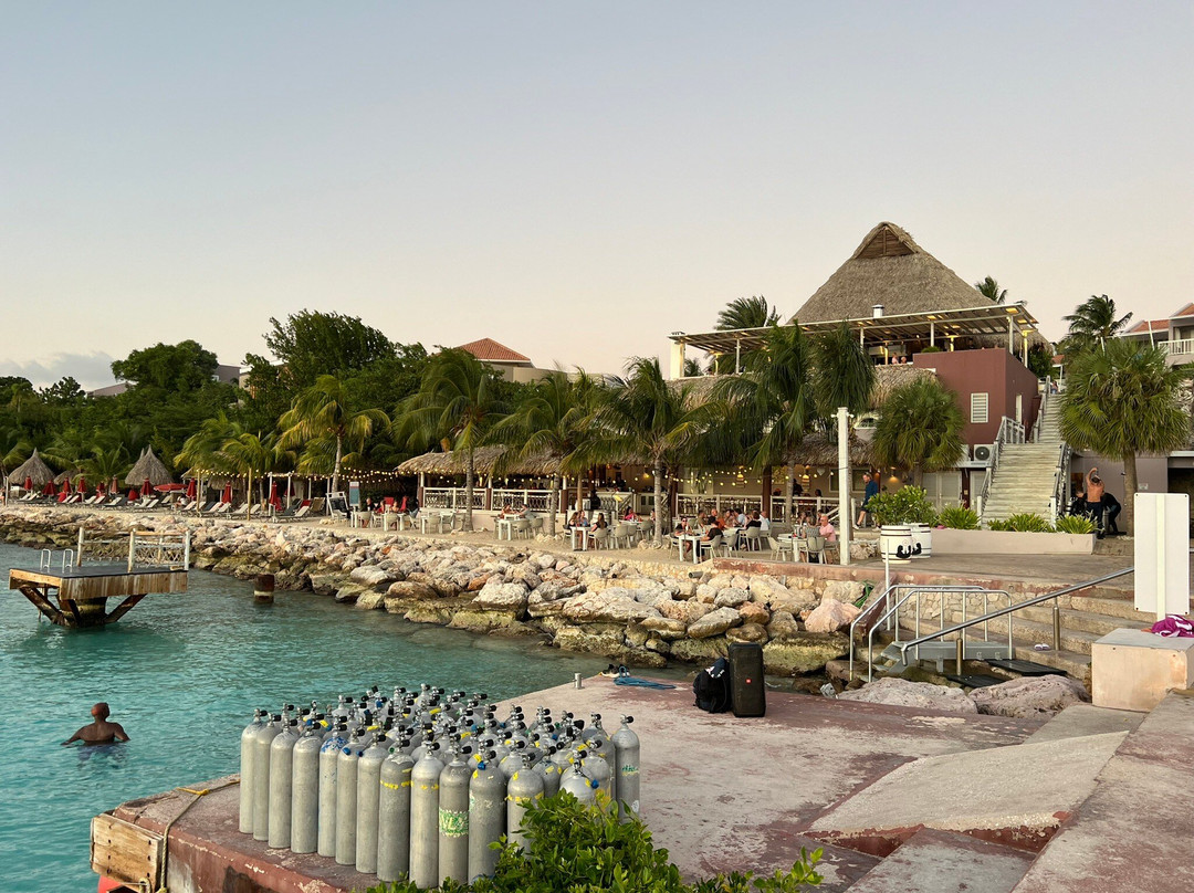 Coral Divers-威廉斯塔德必去景点