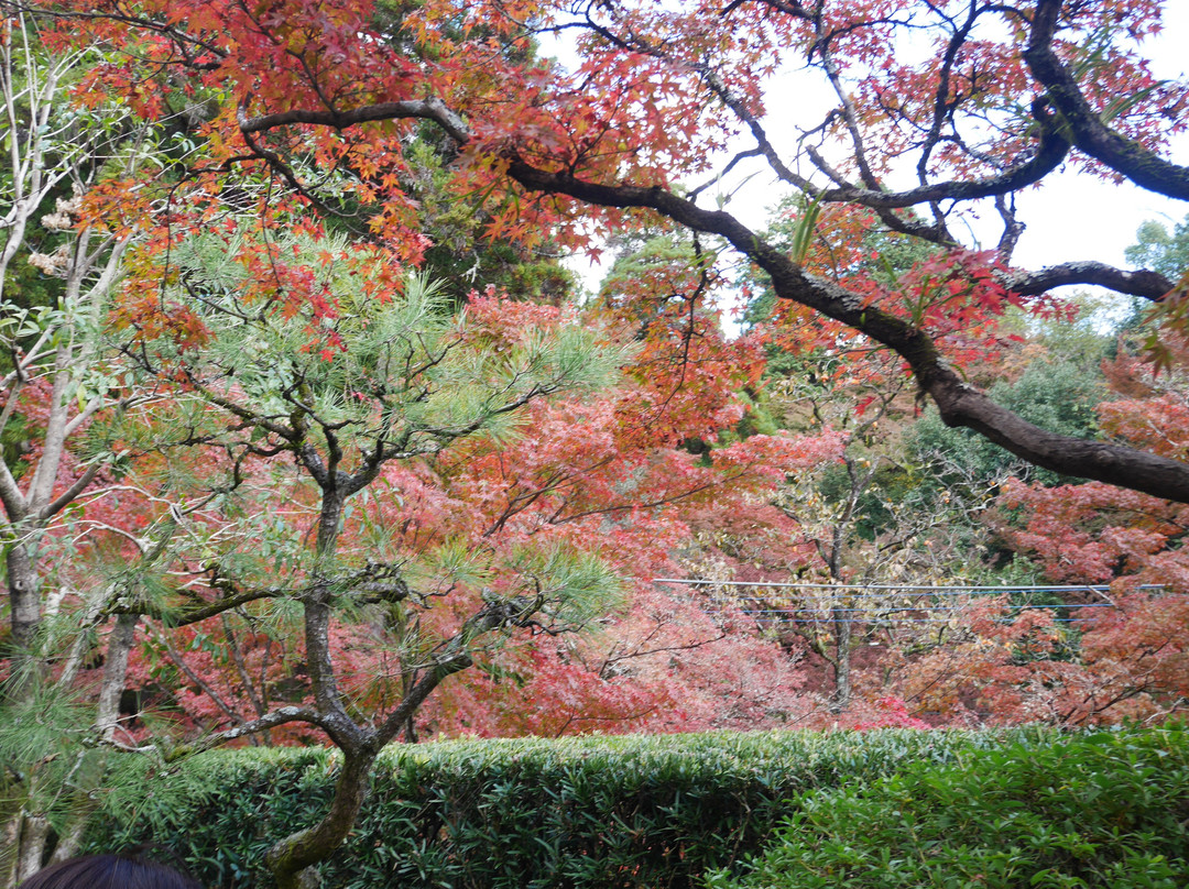 Kunenan-神埼市必去景点