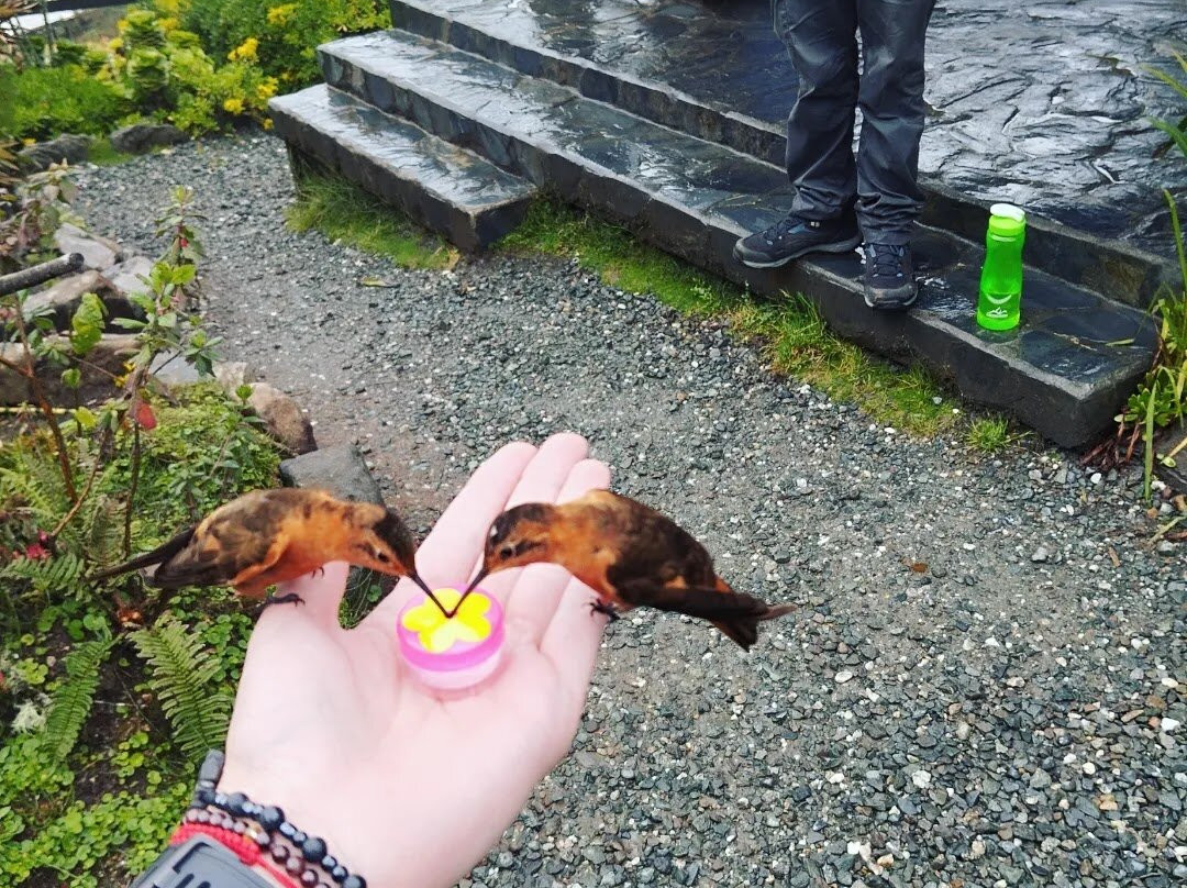 Ruiz Hot Springs-Manizales必去景点