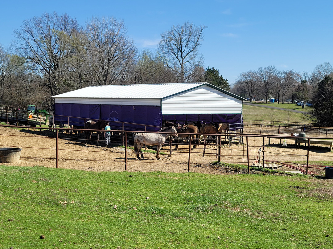 Shelby Farms Stables-孟菲斯必去景点
