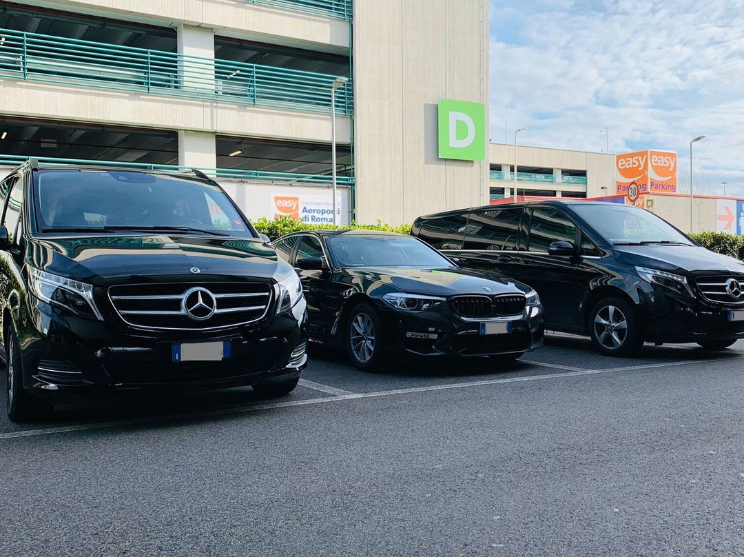 Basel Private Transfers & Limo Services: Airport, Cruise Port, Hotel Pickups