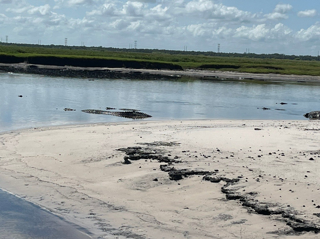 Midway Airboat Rides景点图片