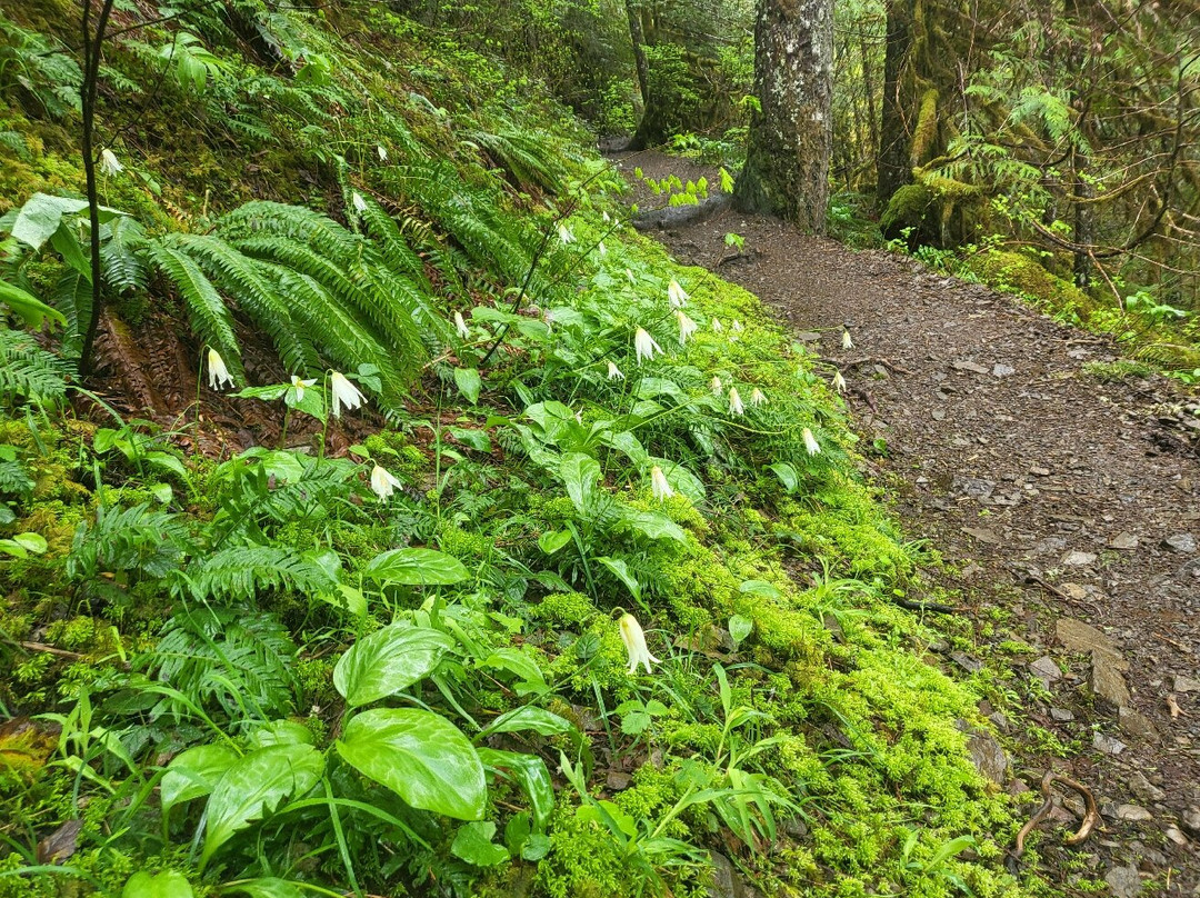 Salmon River Trail-Welches必去景点