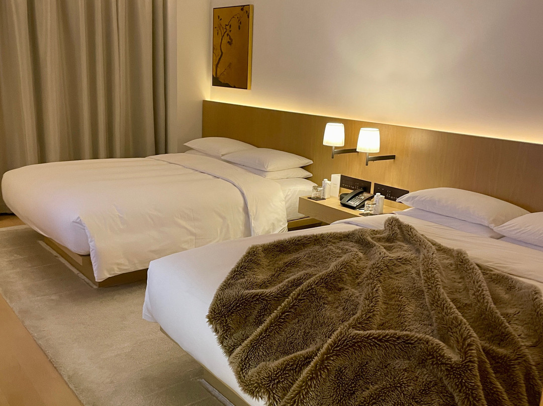 The Tokyo EDITION, Toranomon主图