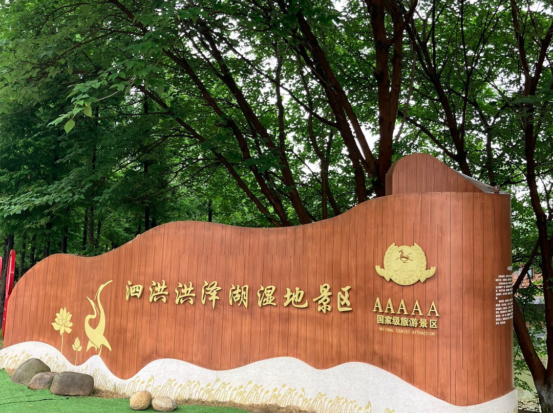 泗洪洪泽湖湿地-泗洪县必去景点