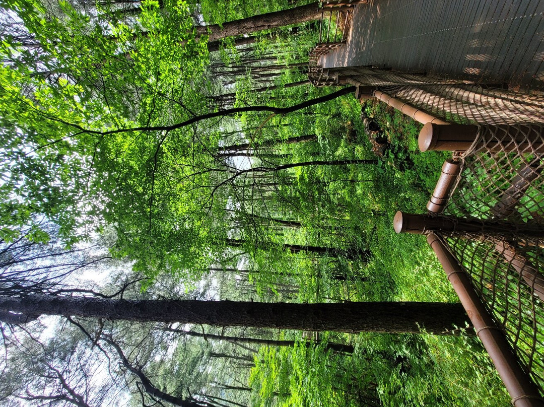 Gyeonggi-do Jatyanggi Purunsup-加平郡必去景点