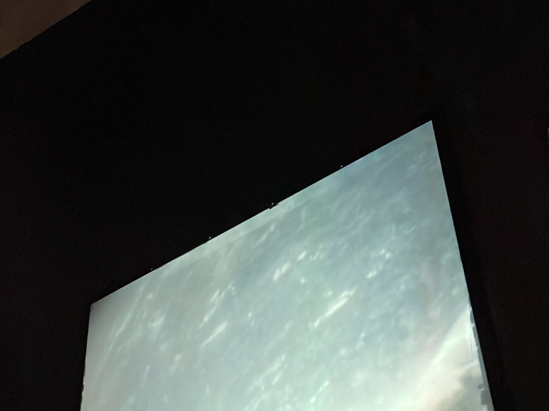 Aquarius Wassermuseum景点图片
