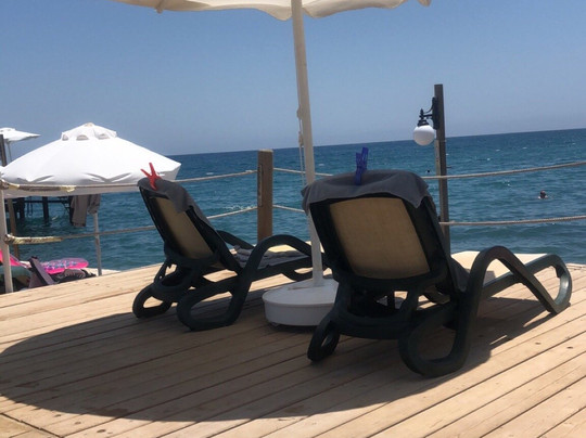 Paloma Foresta主图