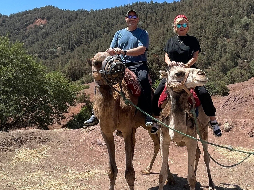 Marrakech Cab Travel-马拉喀什必去景点