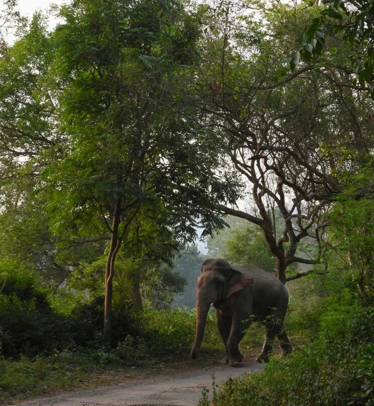 Gyan Yatra景点图片