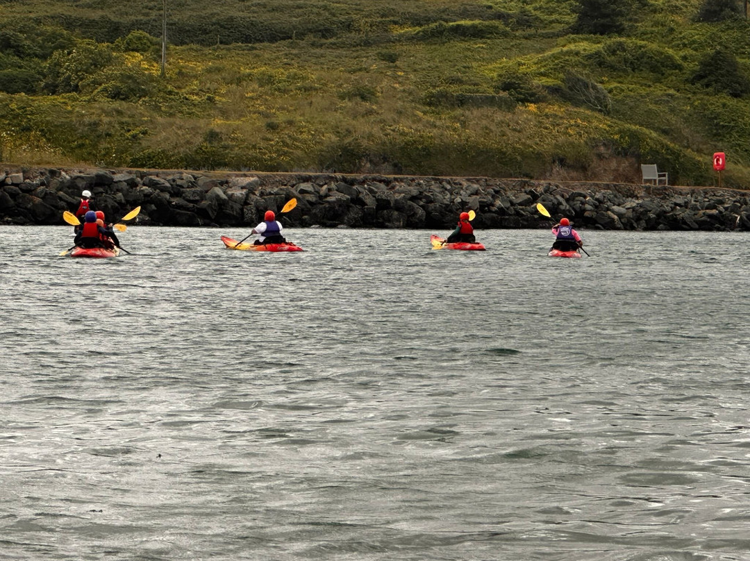Global Boarders Surf School Gwithian Beach-Hayle必去景点