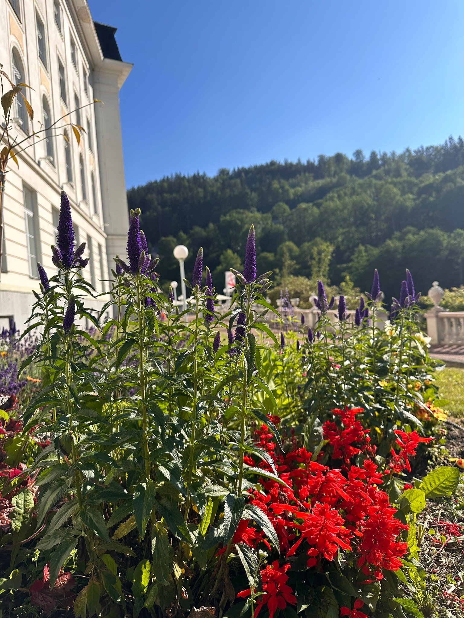 镭宫大酒店-官方