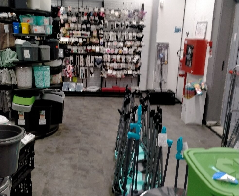 Tedi景点图片