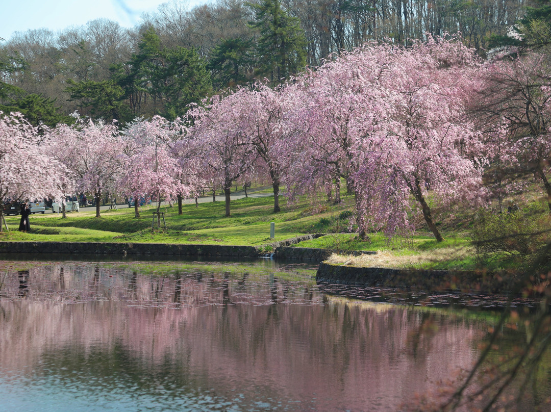 Yukyuzan Park-长冈市必去景点