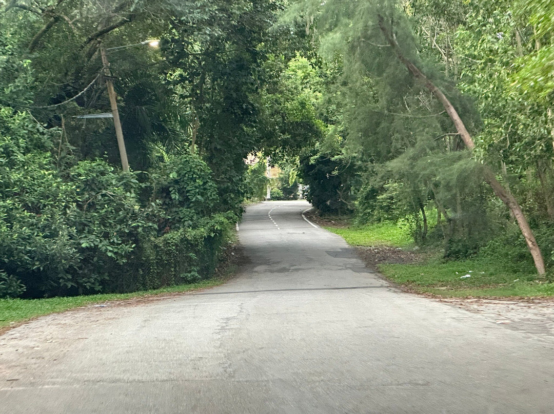 Villea Port Dickson主图