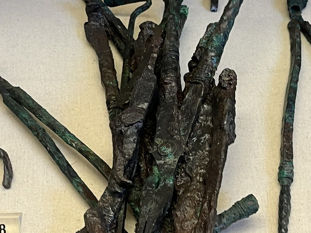 Domus del Chirurgo-里米尼必去景点