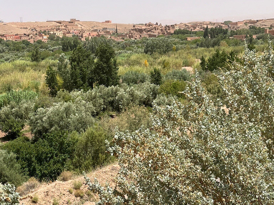 Kasbah Tizzarouine主图