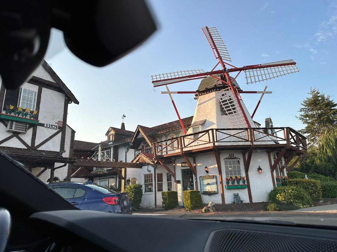 Auld Holland Inn主图